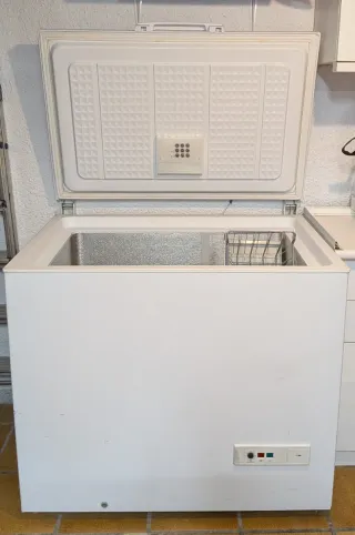 Arcón Congelador Ignis CO 250 EG