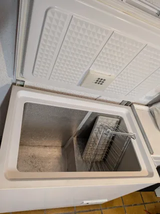 Arcón Congelador Ignis CO 250 EG