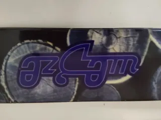 Esquís con fijaciones