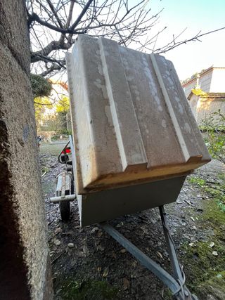 Remolque para perros