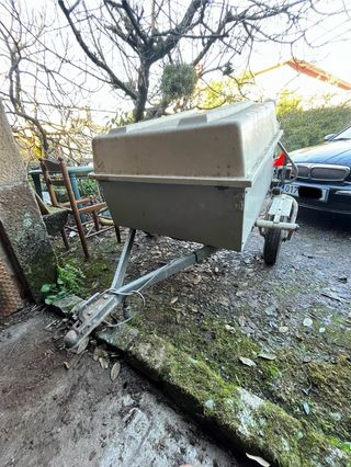 Remolque para perros