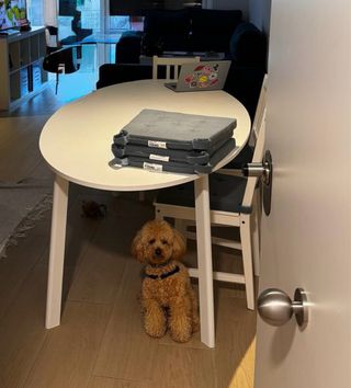 Juego comedor 6 sillas