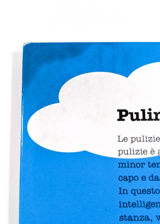 Svabba Clean di Sophie Truedsson