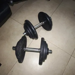 Banco de gym y pesas.