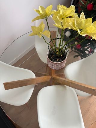 Mesa redonda cristal y roble 60x100