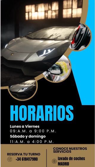 Limpieza de cochea a domicilio,