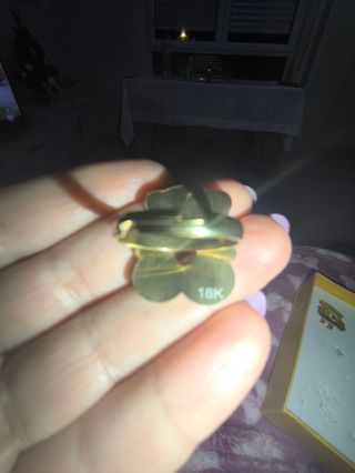 Conjunto de pendientes y anillo