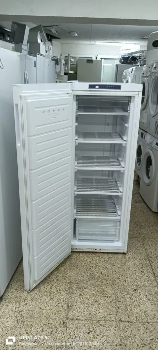 Congelador Vertical Telefunken  145 x 54 x 60 cm
