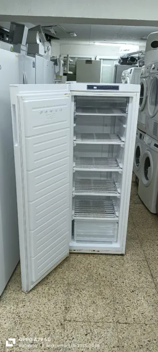 Congelador Vertical Telefunken  145 x 54 x 60 cm