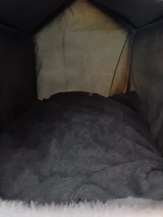 Casita para mascotas espaciosa y cómoda