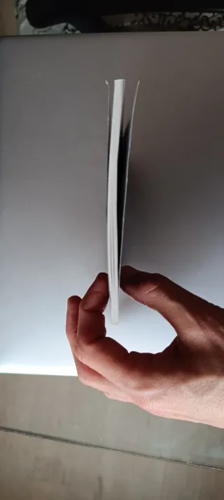 Manual Nintendo DS Lite