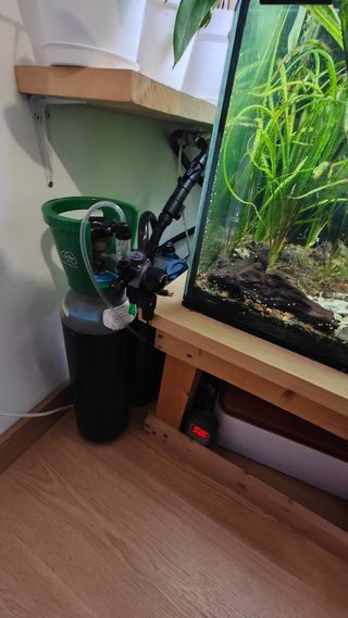 Acuario completo 200L