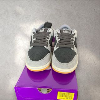 Nike SB Dunk Low Pro