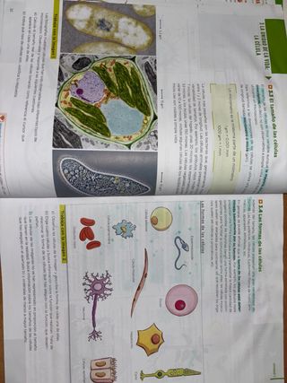 Biología y Geología 1 ESO Anaya