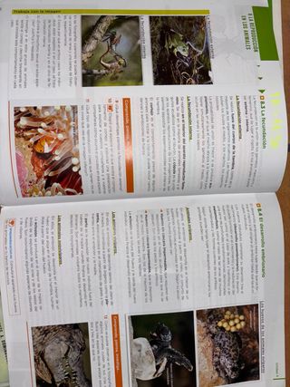 Biología y Geología 1 ESO Anaya