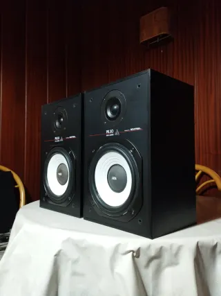 Altavoces Vieta PR-30 Negros