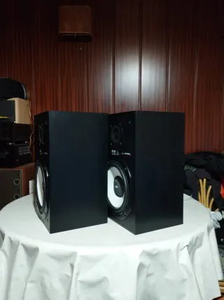 Altavoces Vieta PR-30 Negros