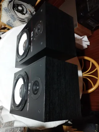 Altavoces Vieta PR-30 Negros