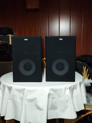 Altavoces Vieta PR-30 Negros