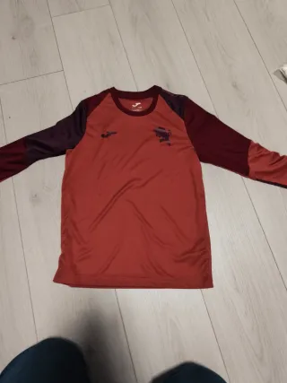 Camiseta Oficial Torino Joma Manga Larga