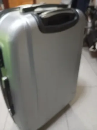 Maleta de viaje mediana plateada