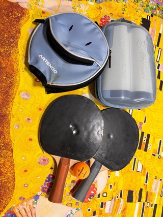 Palas de ping pong y red