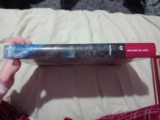 La Enciclopedia del Estudiante,17 Historia del art