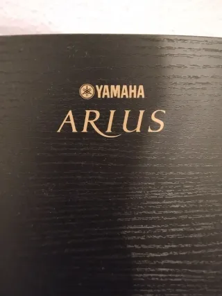 Piano Yamaha Arius YDP-161