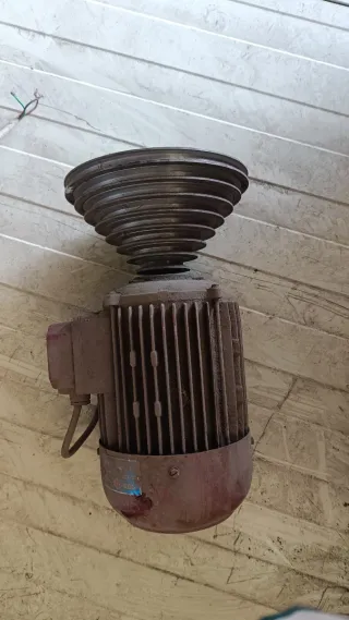 Motor eléctrico con polea