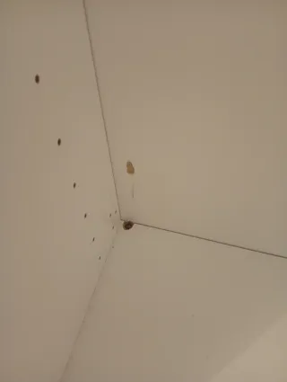 Módulo blanco para microondas