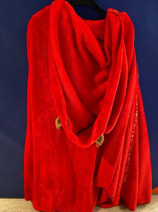 Disfraz Caperucita Roja Lobo Talla Única