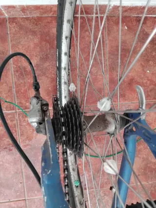 Bicicleta de montaña Santos Outdoor