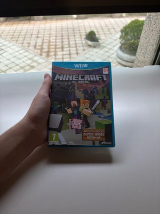 Minecraft Wii U Edition
