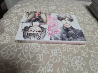 Lote de mangas en español / también vendo separado