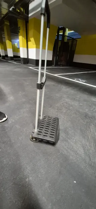 Carrito mochila plegable