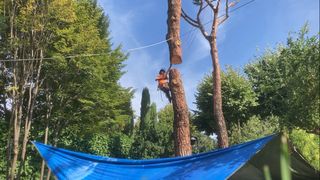 Poda y Tala de Arboles