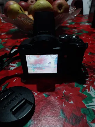 Fotocamera bridge Digitale Panasonic Lumix DMC-FZ2