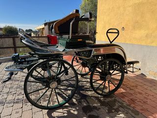 Coche de caballos Maratón competición
