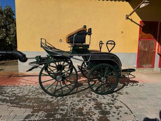 Coche de caballos Maratón competición