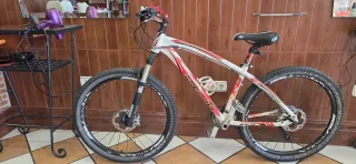 Bicicleta Mendiz Talla M
