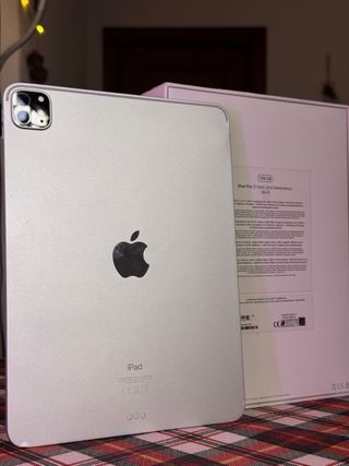 iPad Pro 11 2ª Gen