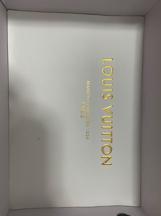 Zapatillas Louis Vuitton grises y blancas