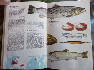 Guía de Los Peces de Mar. Atlántico y Mediterraneo