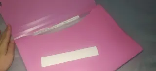 Carpeta Acordeón Rosa Plástico