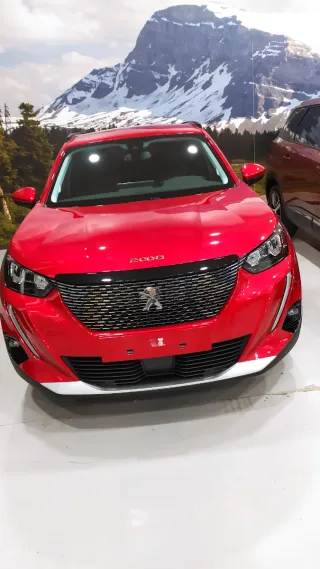 Peugeot 2008 2021