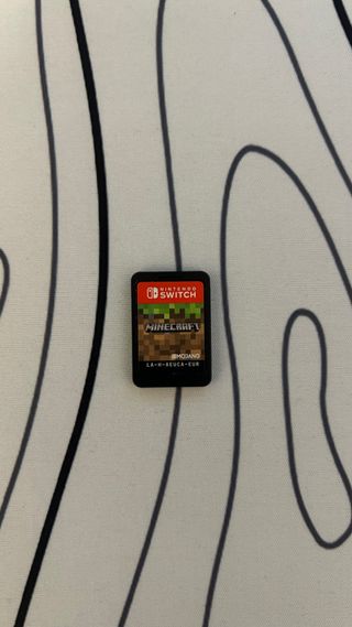 Minecraft Nintendo Switch