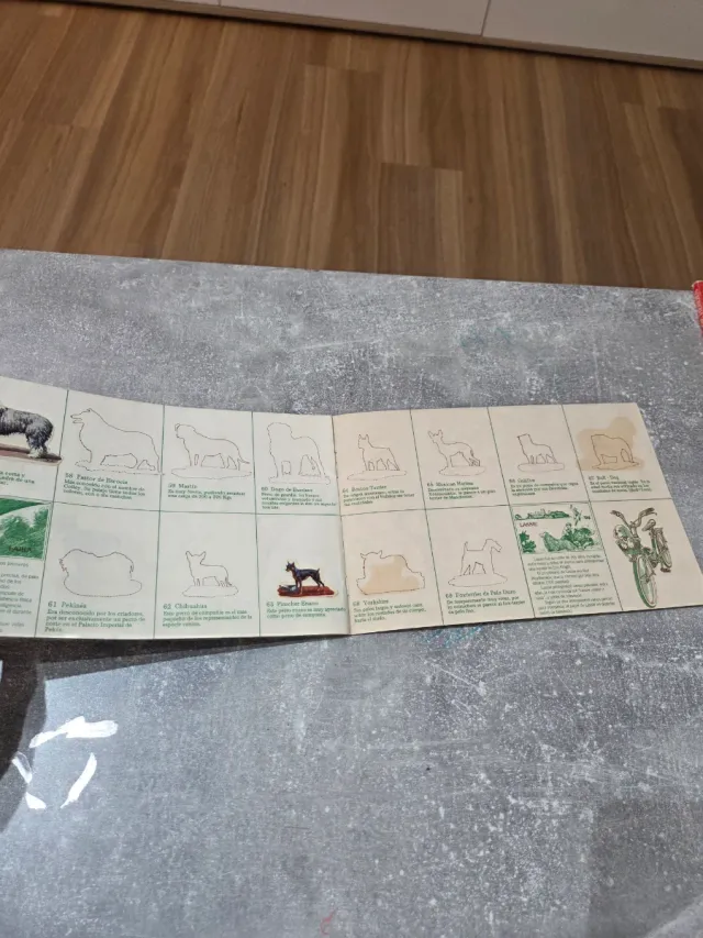 Colección Album Cromos  Panrico  1976