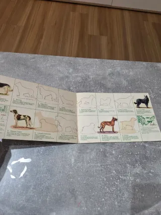 Colección Album Cromos  Panrico  1976