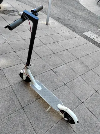 Patinete Eléctrico Xiaomi 360