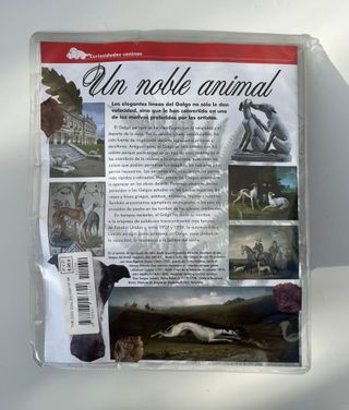 PERRO PELUCHE THE DOG COLLECTION Nº34